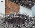 Capi_Dubne_20260910_084004.jpg