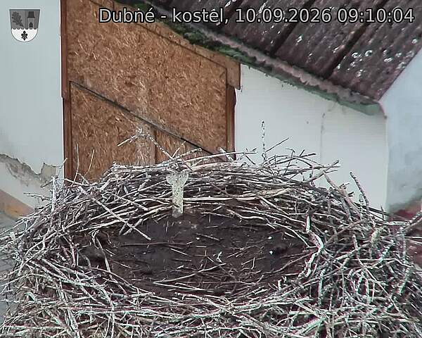 preload