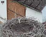 Capi_Dubne_20260910_093003.jpg