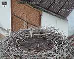 Capi_Dubne_20260910_101002.jpg