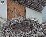 Capi_Dubne_20260910_101504.jpg