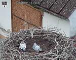 Capi_Dubne_20260910_103004.jpg