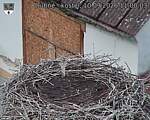 Capi_Dubne_20260910_110003.jpg