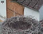 Capi_Dubne_20260910_115003.jpg