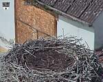 Capi_Dubne_20260910_131504.jpg