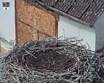 Capi_Dubne_20260910_132504.jpg