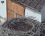 Capi_Dubne_20260910_133503.jpg