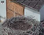 Capi_Dubne_20260910_135502.jpg