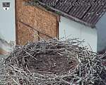 Capi_Dubne_20260910_140004.jpg