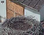 Capi_Dubne_20260910_141004.jpg