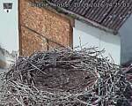 Capi_Dubne_20260910_142503.jpg