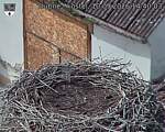 Capi_Dubne_20260910_144003.jpg