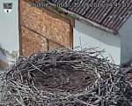 Capi_Dubne_20260910_144503.jpg