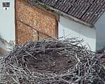 Capi_Dubne_20260910_145504.jpg