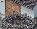 Capi_Dubne_20260910_151004.jpg