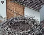 Capi_Dubne_20260910_152004.jpg