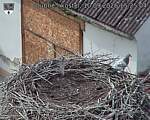 Capi_Dubne_20260910_152504.jpg