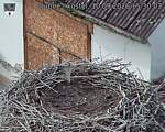 Capi_Dubne_20260910_153003.jpg