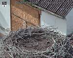 Capi_Dubne_20260910_155003.jpg