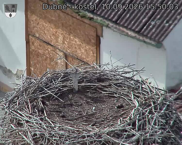 Capi_Dubne_20260910_155003.jpg (1350&nbsp;x&nbsp;1080)