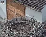 Capi_Dubne_20260910_155503.jpg