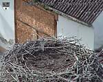 Capi_Dubne_20260910_160002.jpg