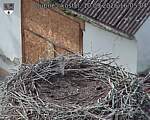Capi_Dubne_20260910_160504.jpg