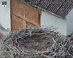 Capi_Dubne_20260910_161004.jpg