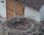 Capi_Dubne_20260910_162004.jpg