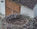 Capi_Dubne_20260910_163003.jpg