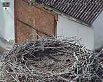 Capi_Dubne_20260910_163504.jpg