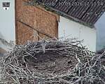 Capi_Dubne_20260910_171004.jpg