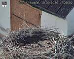 Capi_Dubne_20260910_172002.jpg