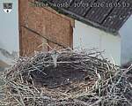 Capi_Dubne_20260910_180503.jpg