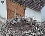 Capi_Dubne_20260910_191004.jpg
