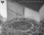 Capi_Dubne_20260910_195003.jpg