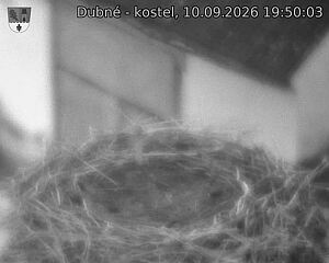 Capi_Dubne_20260910_195003.jpg (1350&nbsp;x&nbsp;1080)
