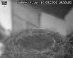 Capi_Dubne_20260910_195503.jpg