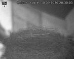 Capi_Dubne_20260910_203003.jpg