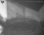 Capi_Dubne_20260910_204003.jpg