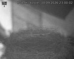 Capi_Dubne_20260910_230002.jpg