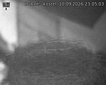 Capi_Dubne_20260910_230503.jpg