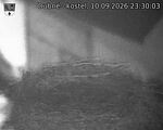 Capi_Dubne_20260910_233003.jpg
