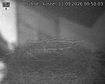 Capi_Dubne_20260911_005003.jpg