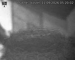 Capi_Dubne_20260911_052002.jpg