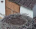 Capi_Dubne_20260912_130003.jpg