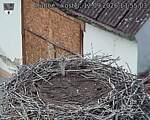 Capi_Dubne_20260912_135503.jpg