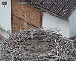Capi_Dubne_20260912_152003.jpg