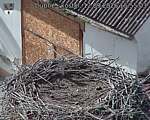 Capi_Dubne_20260912_155503.jpg