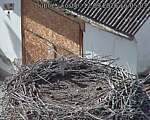 Capi_Dubne_20260912_160503.jpg